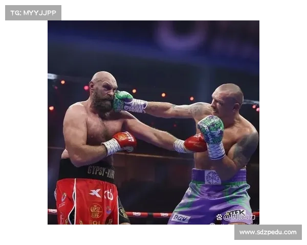 2019年拳击赛事全面预告：重量级对决明星崛起与年度盛事前瞻