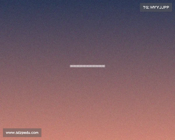 搏击赛事举牌女郎的光辉时刻擂台之花绽放的美丽传奇